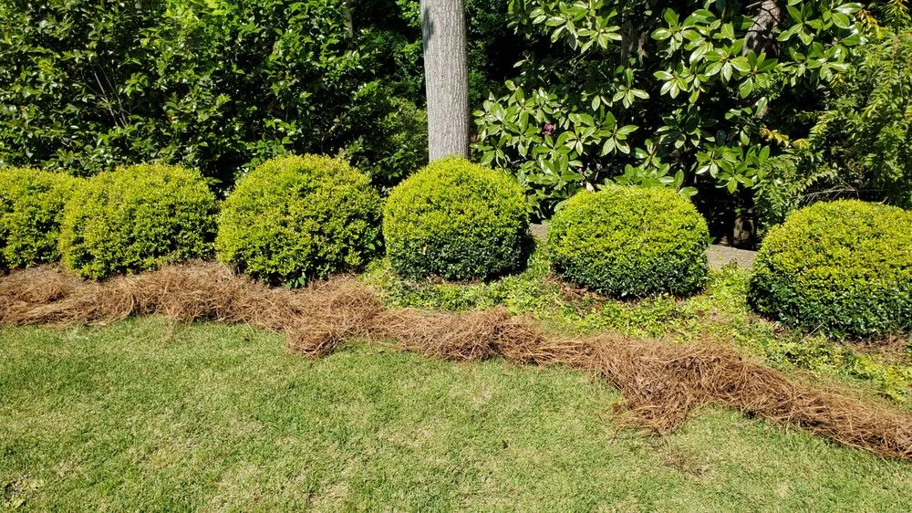 Trusted landscape design with custom design in Dallas, GA by Albamex Landscaping