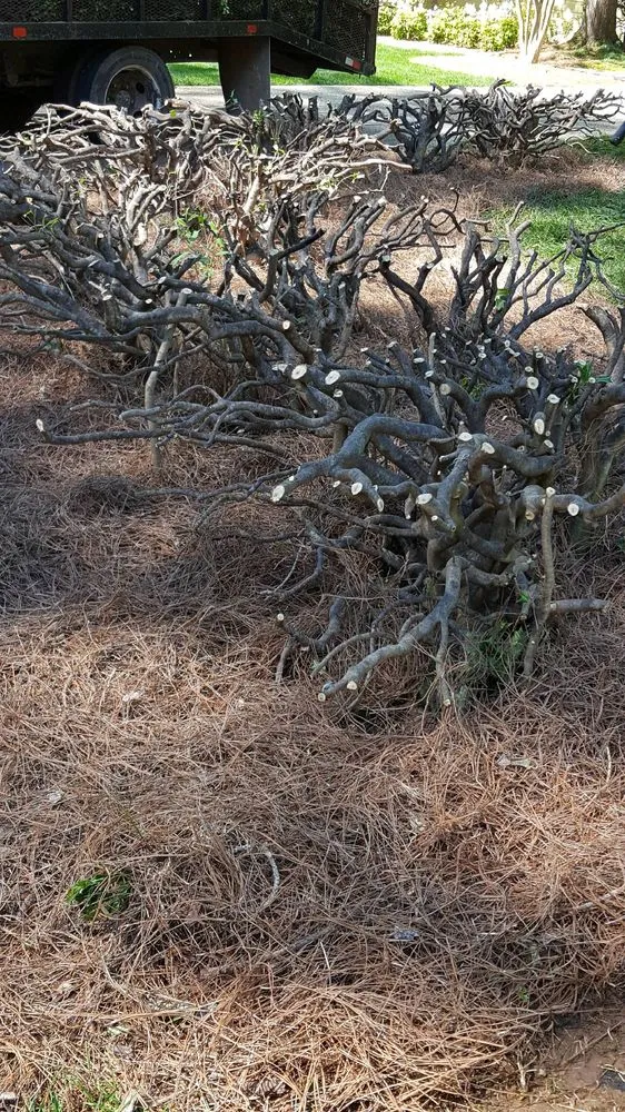 Reliable yard maintenance in Dallas, GA - Albamex Landscaping