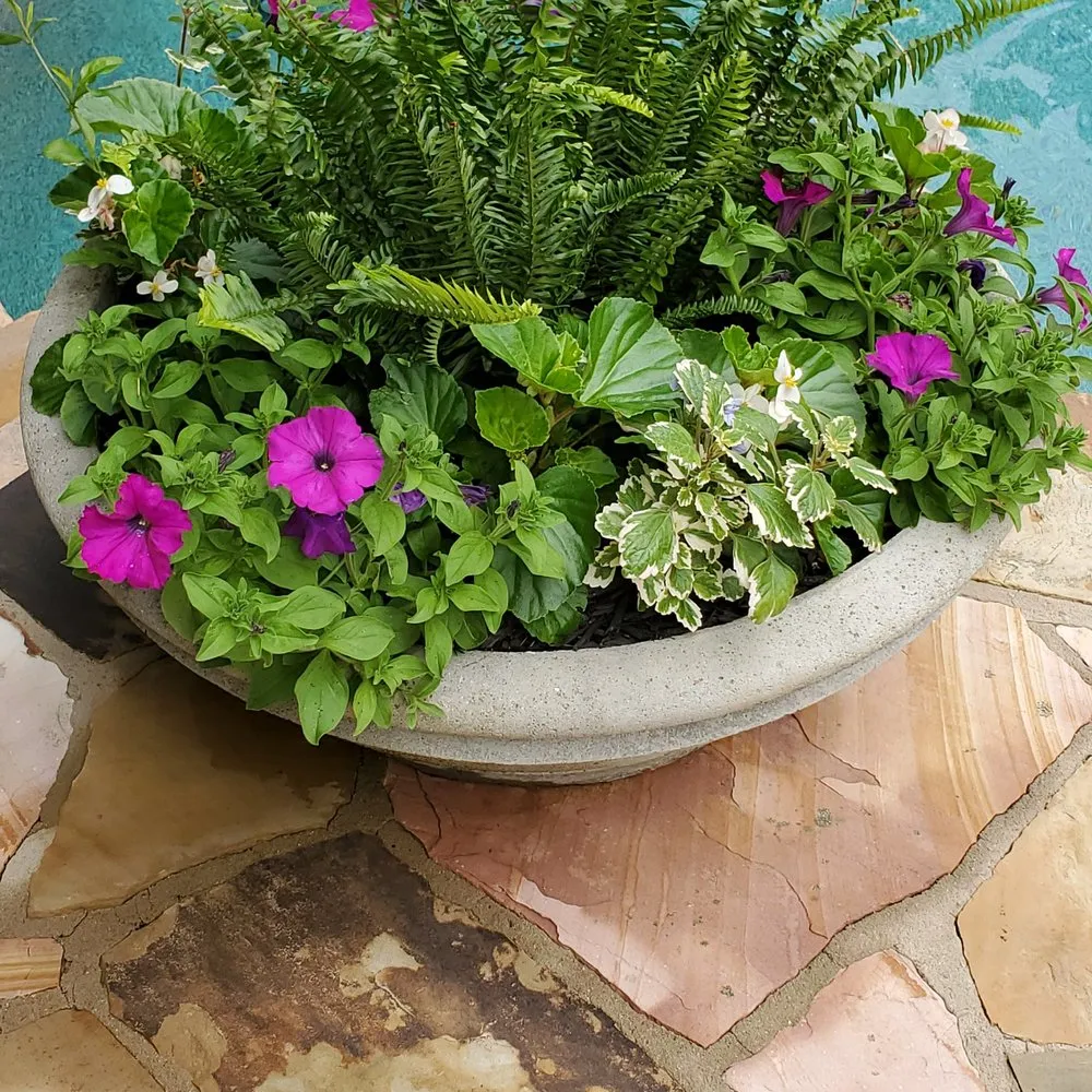 Expert lawn care service in Dallas, GA - Albamex Landscaping