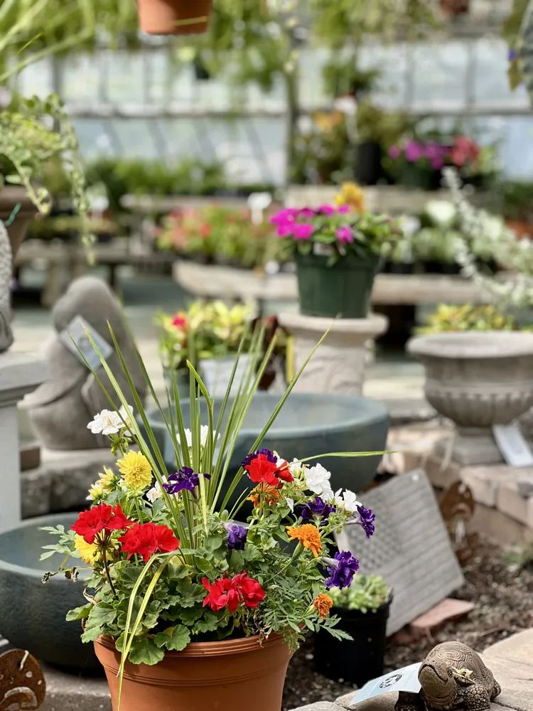 Expert yard maintenance experts serving Wind Gap, PA - Albanese Garden Center & Greenhouse