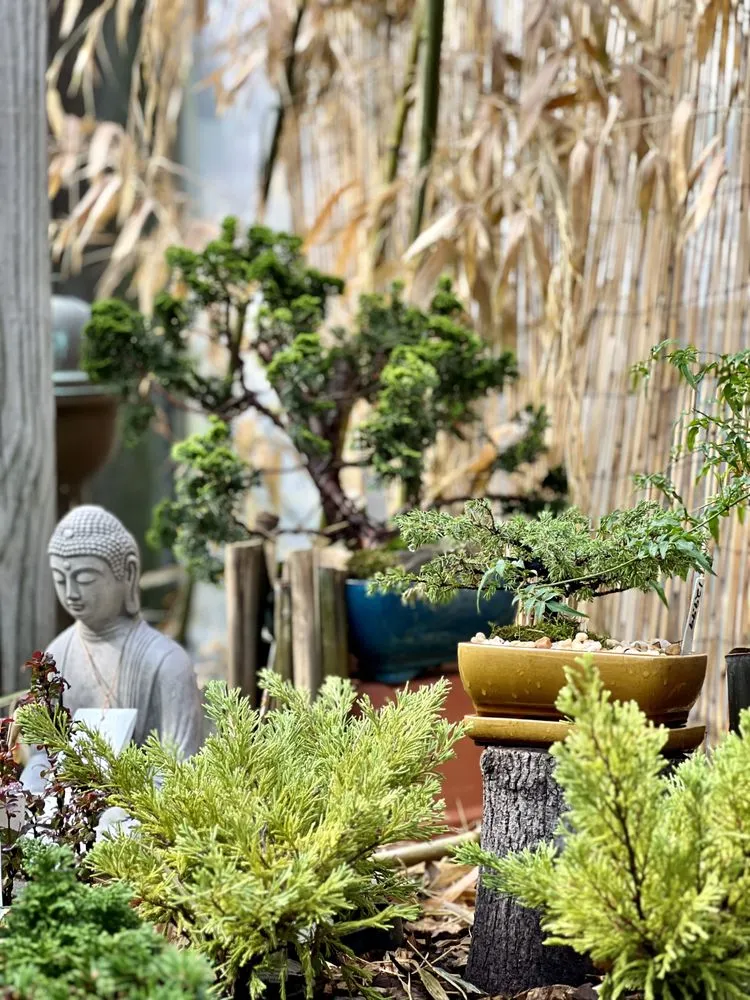 Expert landscaping services experts serving Wind Gap, PA - Albanese Garden Center & Greenhouse