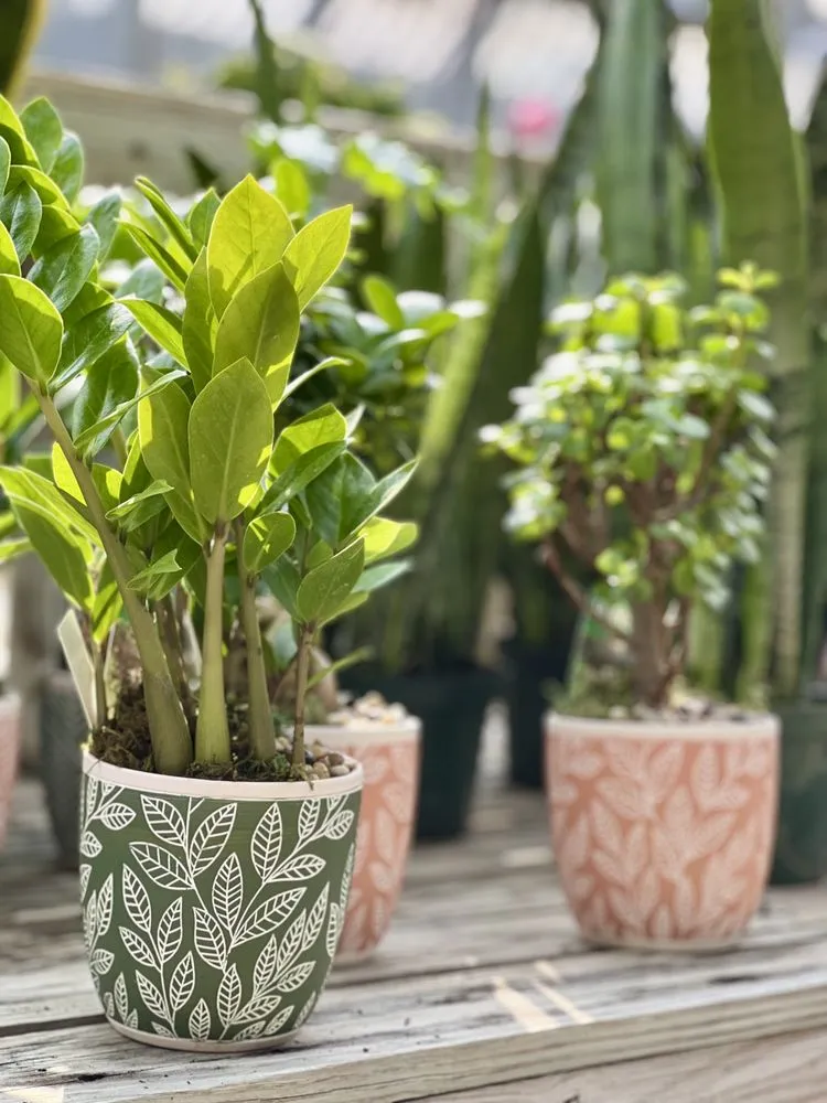 Professional outdoor landscaping in Wind Gap, PA by Albanese Garden Center & Greenhouse