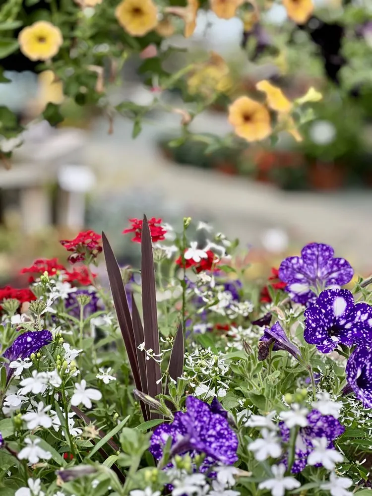 Professional lawn care service for beautiful yards in Wind Gap, PA by Albanese Garden Center & Greenhouse