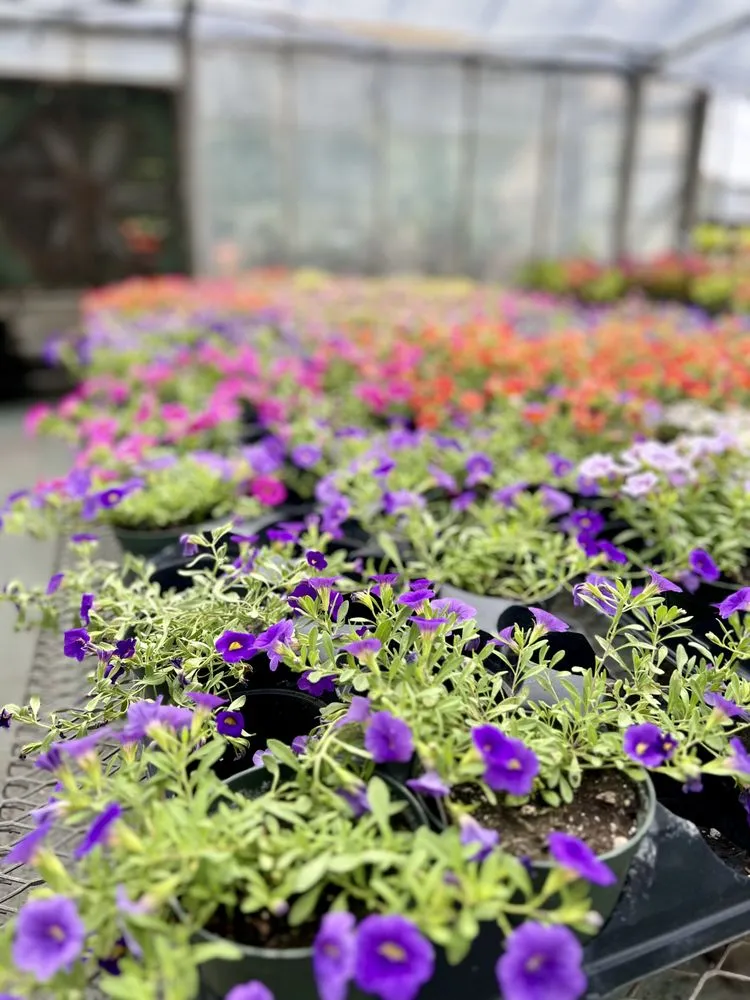 Professional residential landscaping for year-round maintenance in Wind Gap, PA by Albanese Garden Center & Greenhouse