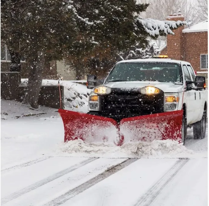 Professional lawn care service in Mundelein, IL by Albany Landscapes