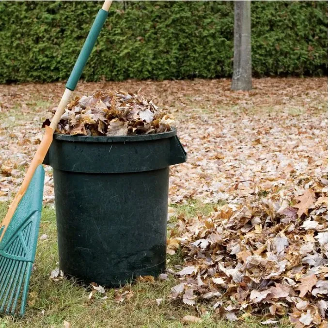 Affordable landscaping services experts serving Mundelein, IL - Albany Landscapes