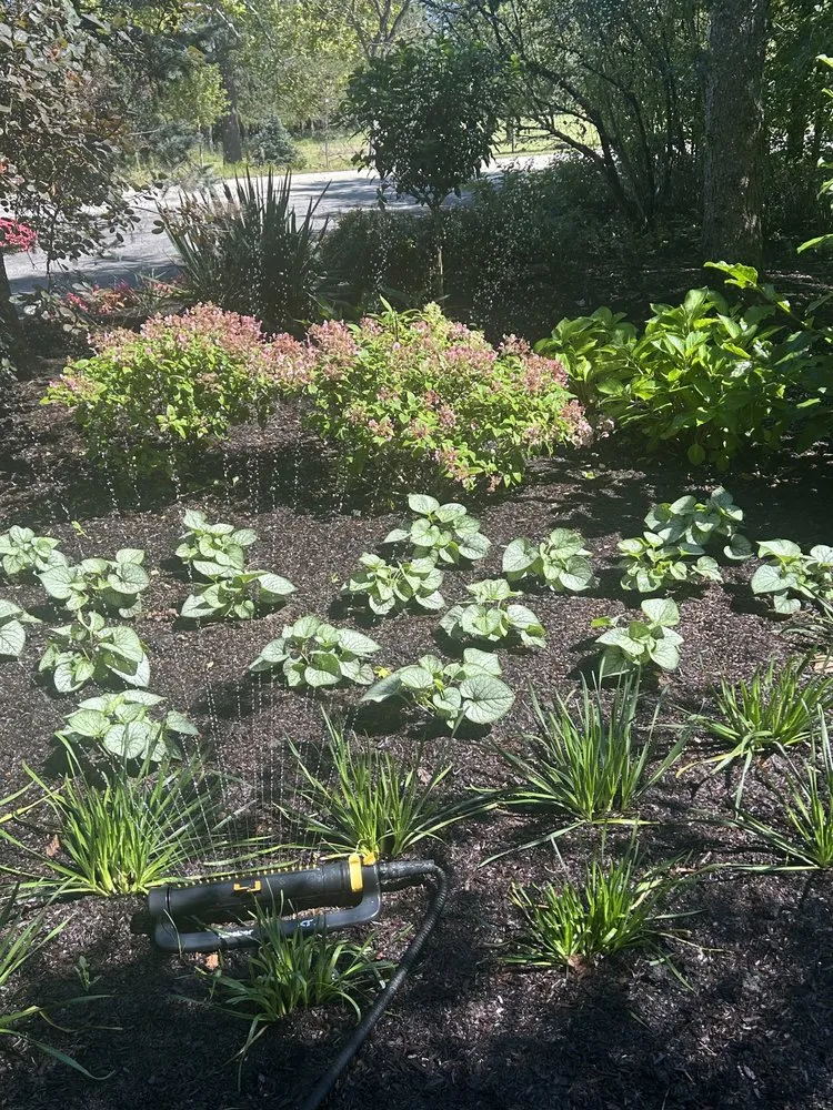 Trusted outdoor landscaping in Mundelein, IL by Albany Landscapes