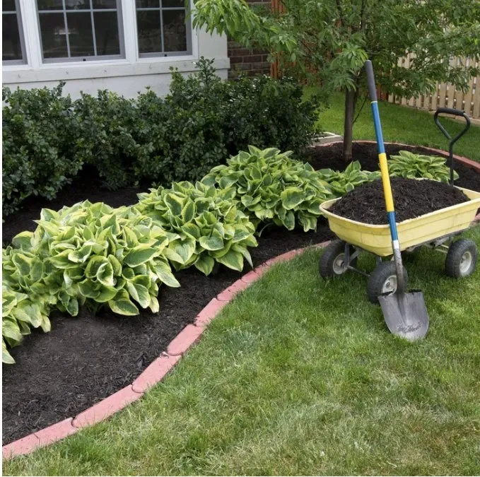 Expert lawn mowing service experts serving Mundelein, IL - Albany Landscapes
