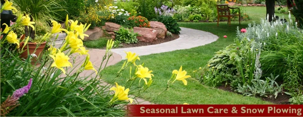 Professional outdoor landscaping in Albany, NY by Albany Nursery