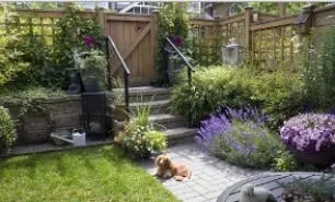 Professional outdoor landscaping for outdoor upgrades in Albany, NY by Albany Nursery