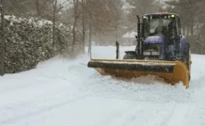 Reliable lawn care service for residential properties across Albany, NY - Albany Nursery