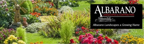 Albarano Landscapes & Contracting Logo