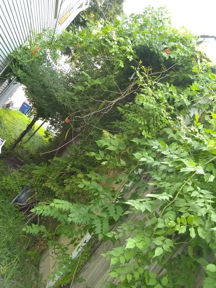 Trusted yard maintenance in Corpus Christi, TX by Al'Be That Handyman