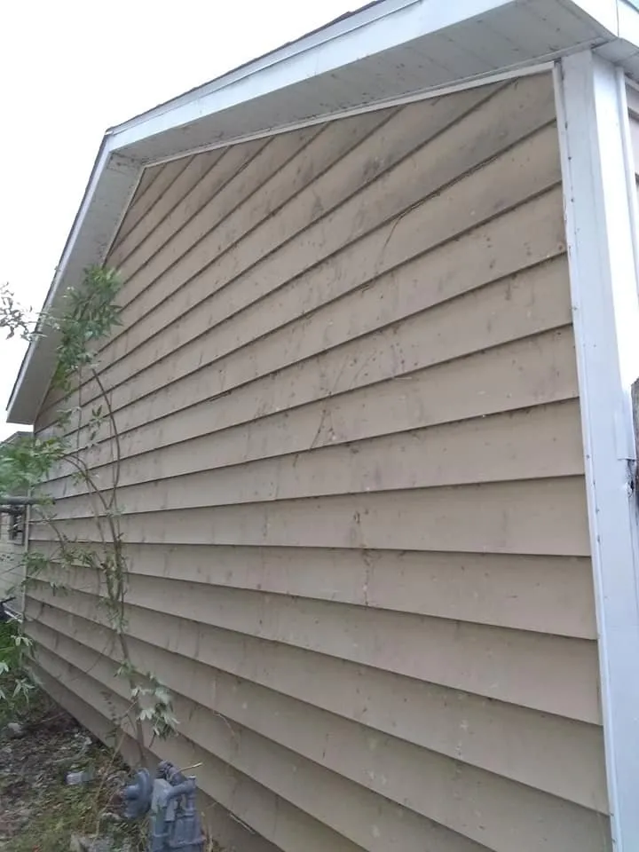 Affordable lawn care service in Corpus Christi, TX - Al'Be That Handyman