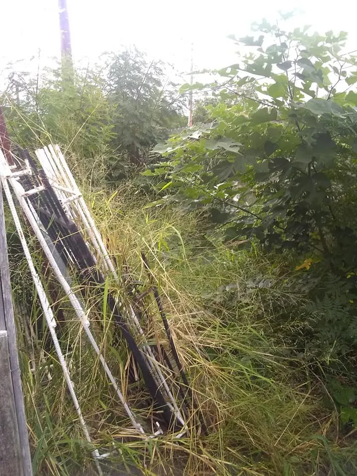 Professional landscape installation experts serving Corpus Christi, TX - Al'Be That Handyman