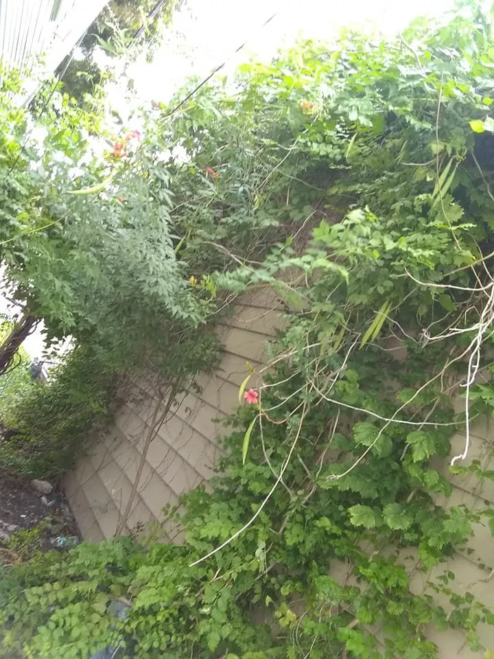 Reliable landscape installation for outdoor upgrades across Corpus Christi, TX - Al'Be That Handyman