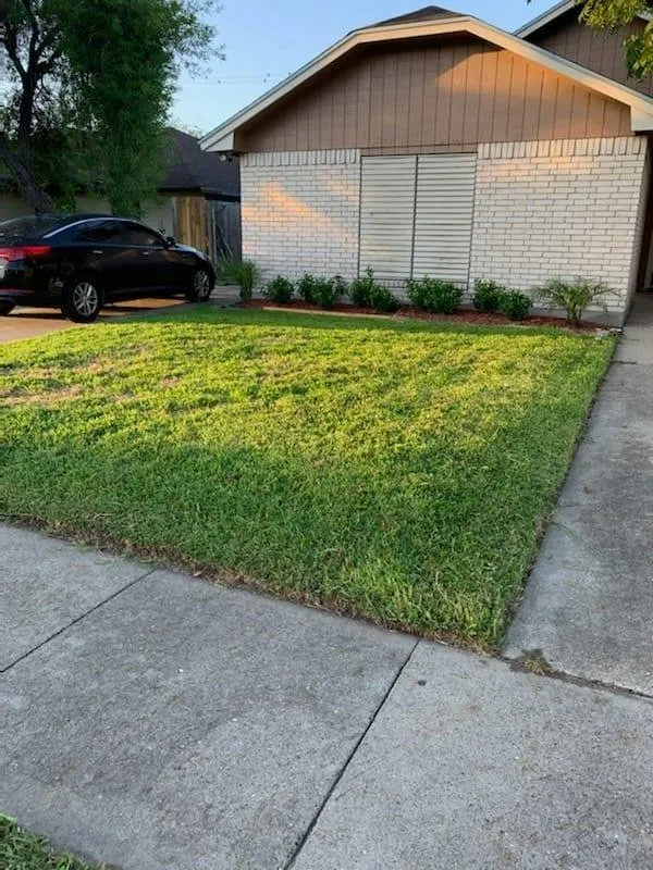 Trusted lawn care service for residential properties across Corpus Christi, TX - Al'Be That Handyman