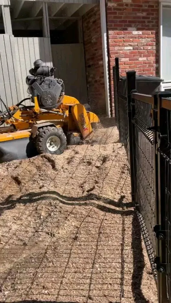 Affordable yard maintenance in Culpeper, VA by Albelino Tree Service and Landscaping