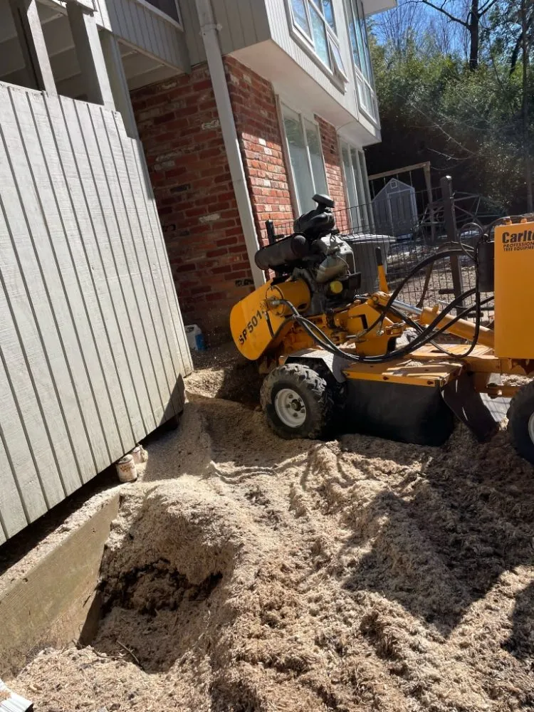 Custom lawn care service in Culpeper, VA by Albelino Tree Service and Landscaping