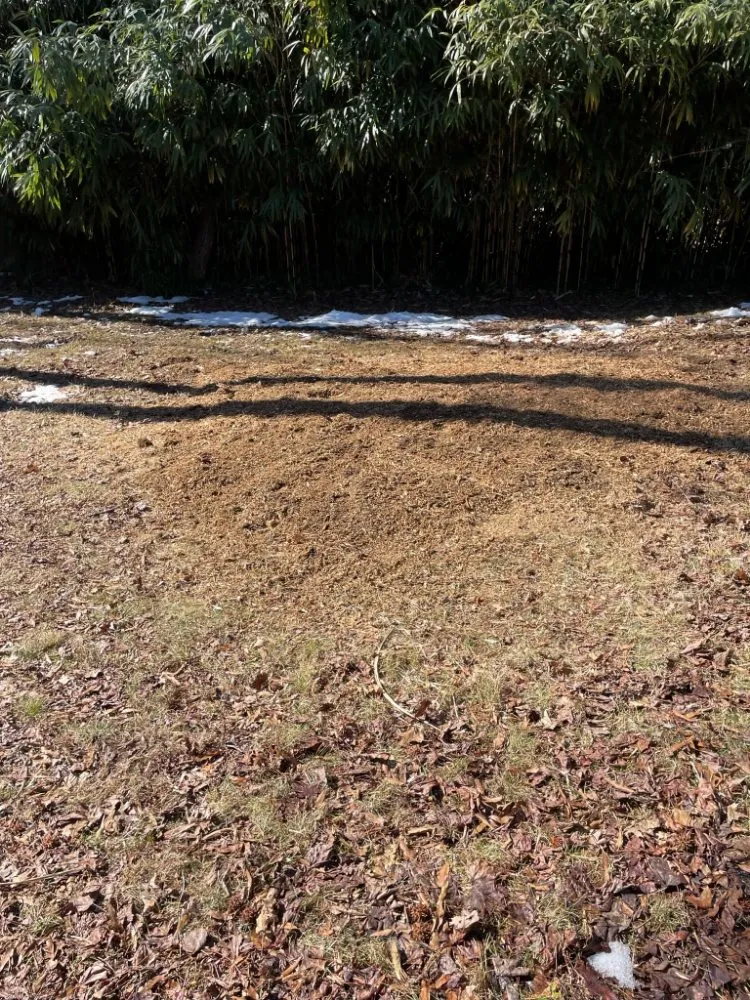 Local landscape design experts serving Culpeper, VA - Albelino Tree Service and Landscaping