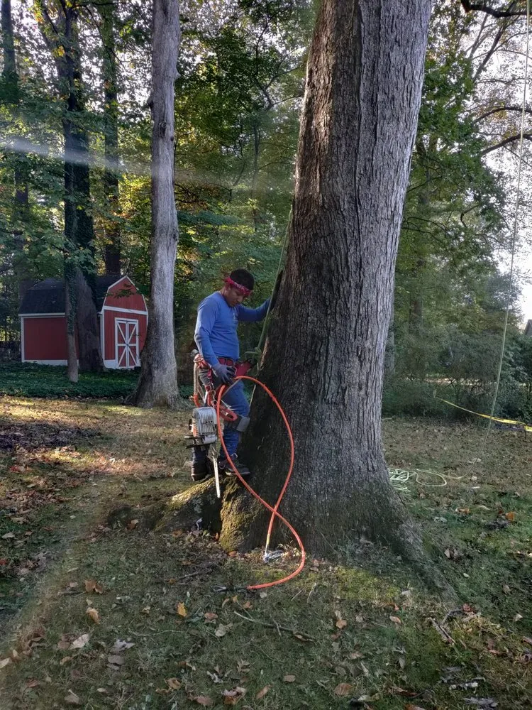 Trusted residential landscaping for residential properties across Culpeper, VA - Albelino Tree Service and Landscaping