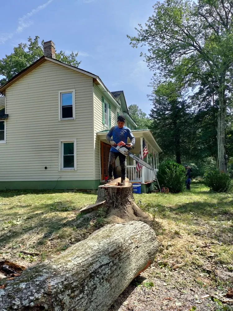 Expert lawn mowing service experts serving Culpeper, VA - Albelino Tree Service and Landscaping