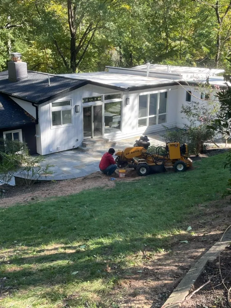 Reliable landscape design in Culpeper, VA by Albelino Tree Service and Landscaping