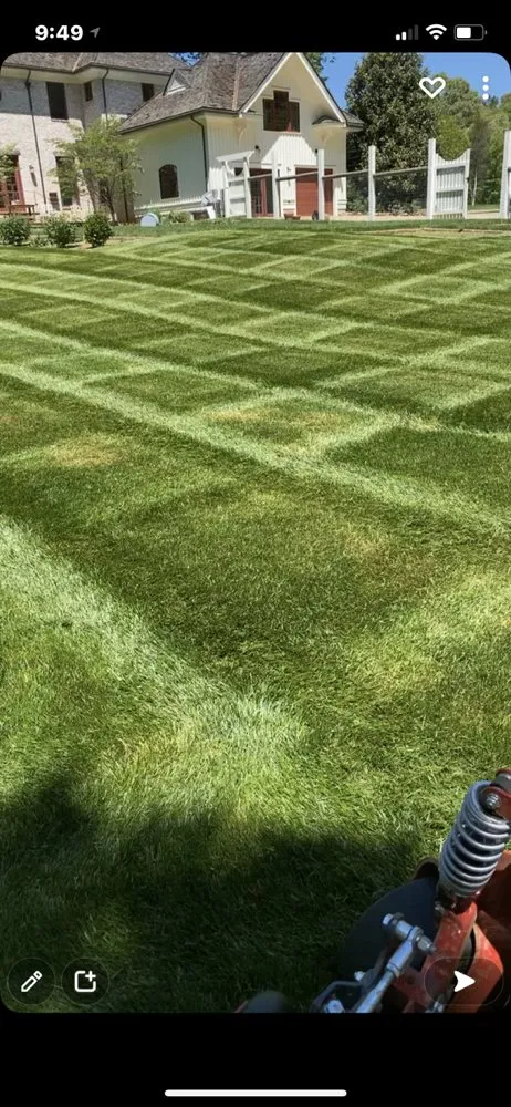 Professional garden landscaping for year-round maintenance in North Garden, VA by Alberene Lawn And Landscape