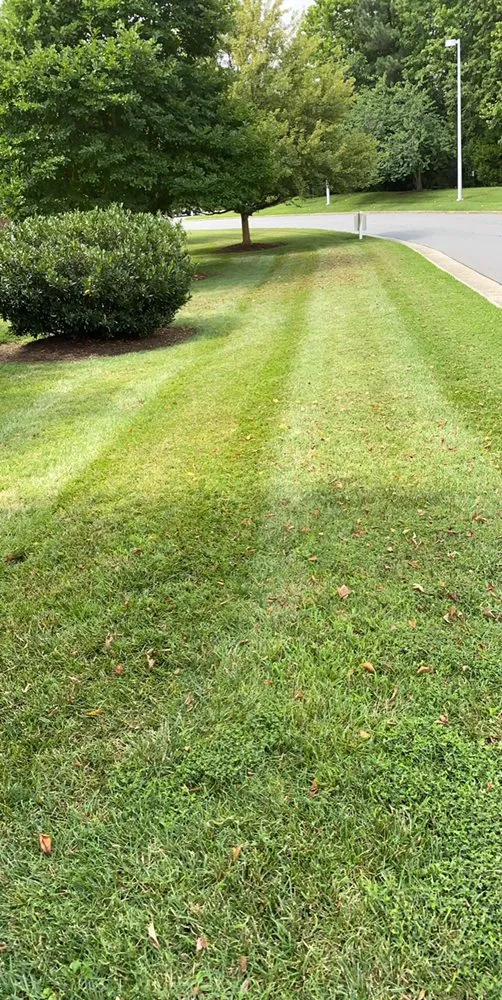 Trusted landscaping services in North Garden, VA by Alberene Lawn And Landscape
