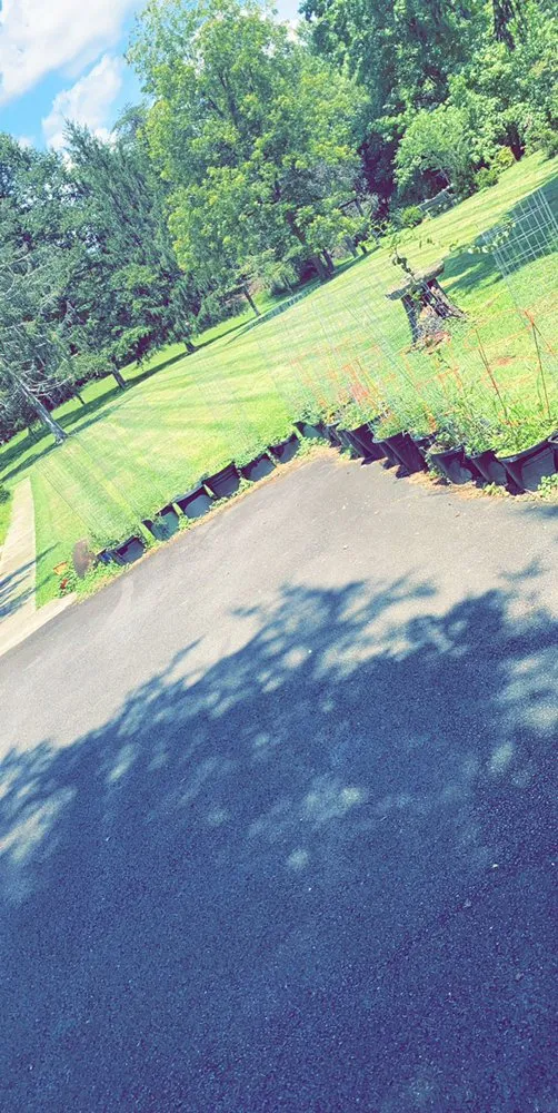 Trusted lawn mowing service for homes across North Garden, VA - Alberene Lawn And Landscape