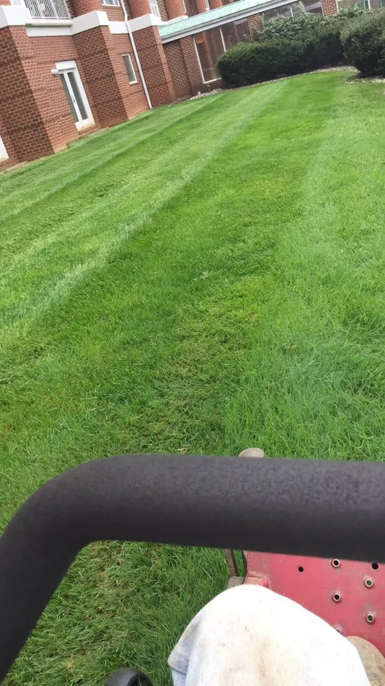 Professional yard cleanup service in North Garden, VA - Alberene Lawn And Landscape