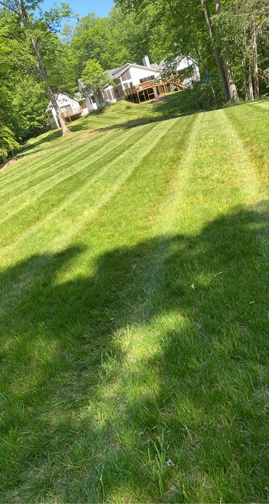 Local yard maintenance for homes across North Garden, VA - Alberene Lawn And Landscape