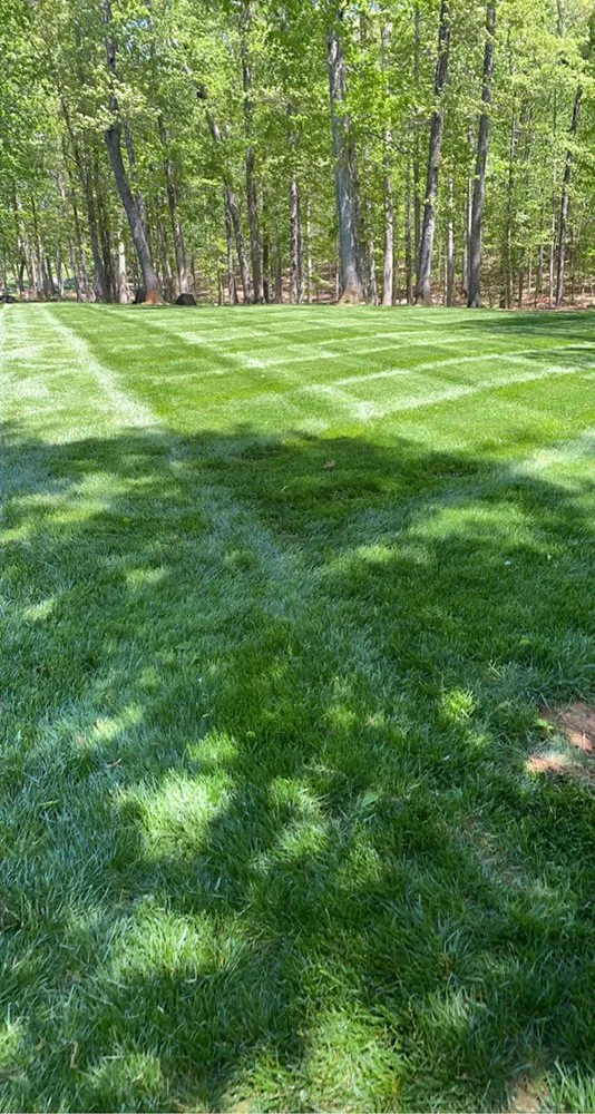 Custom landscaping services in North Garden, VA by Alberene Lawn And Landscape