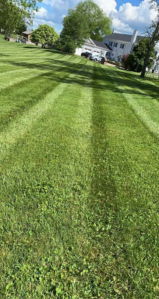 Top-rated garden landscaping experts serving North Garden, VA - Alberene Lawn And Landscape