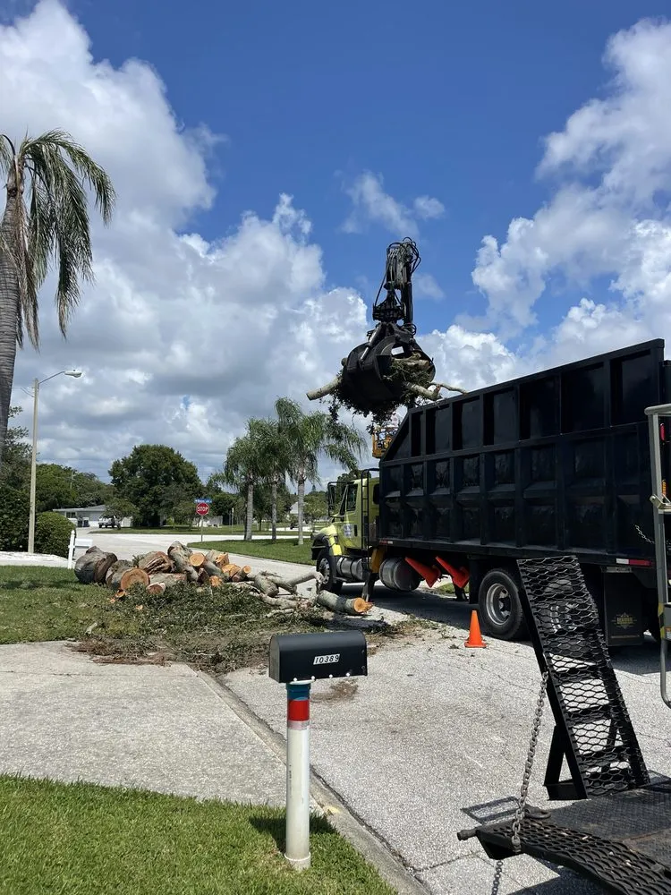 Local yard cleanup service in Tampa, FL by Albert & Ellis