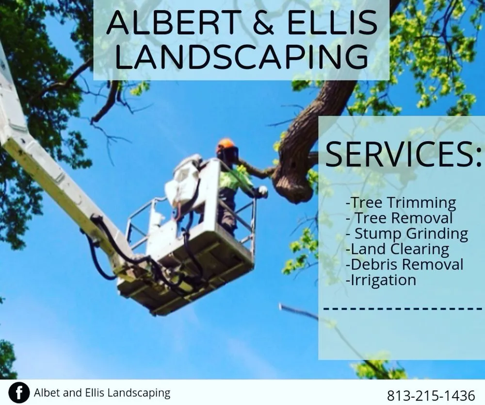 Local landscaping services experts serving Tampa, FL - Albert & Ellis