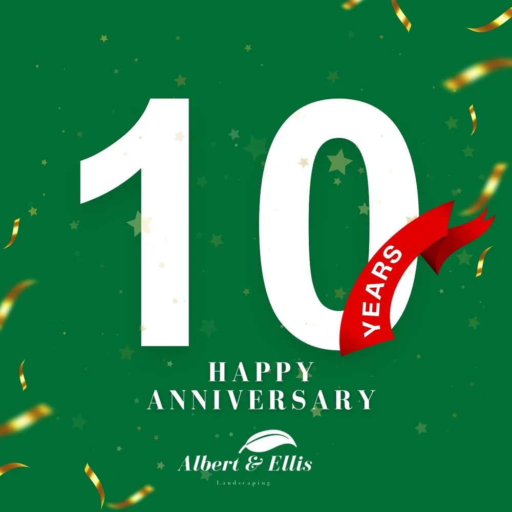 Expert yard maintenance in Tampa, FL - Albert & Ellis