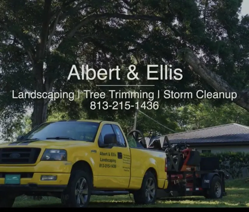 Local residential landscaping in Tampa, FL by Albert & Ellis