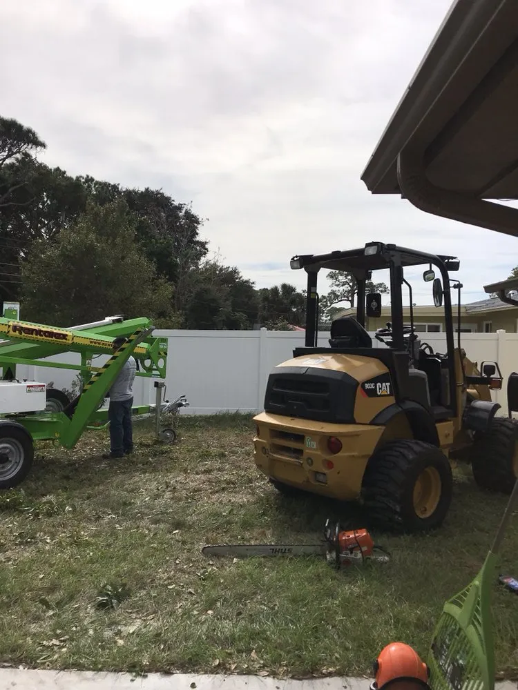 Local yard cleanup service in Tampa, FL - Albert & Ellis