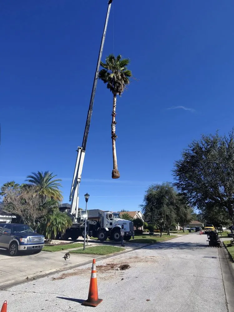 Expert outdoor landscaping experts serving Tampa, FL - Albert & Ellis