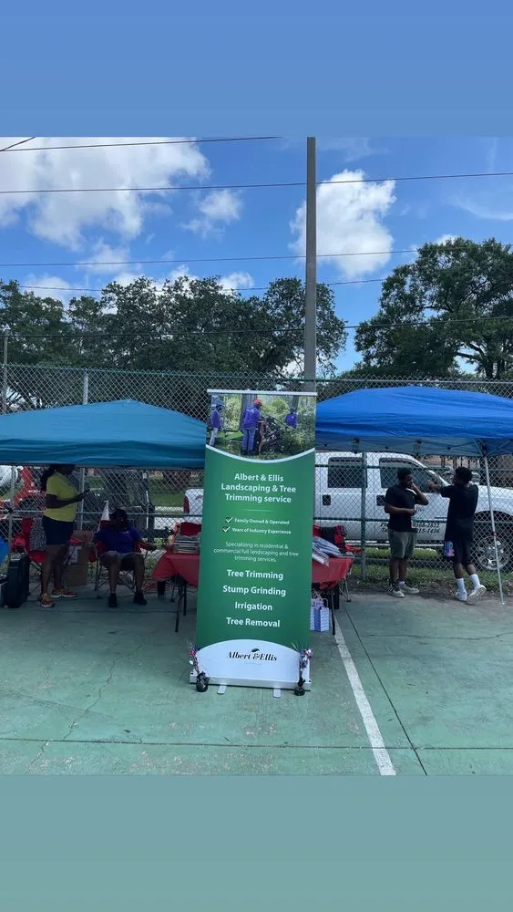 Local outdoor landscaping in Tampa, FL by Albert & Ellis