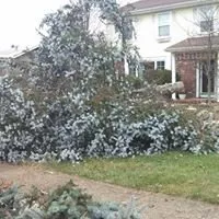 Local lawn mowing service for outdoor upgrades across Jackson, NJ - Albert Harshaw Tree and Landscape Service