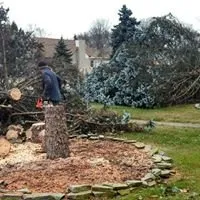 Albert Harshaw Tree and Landscape Service