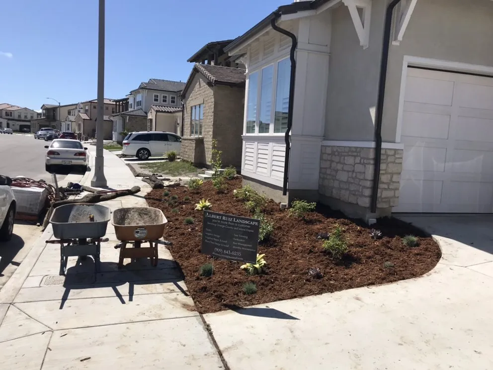 Reliable lawn care service in Norco, CA - Albert Ruiz Landscape