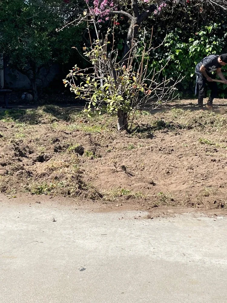 Trusted yard maintenance for outdoor upgrades in Norco, CA by Albert Ruiz Landscape