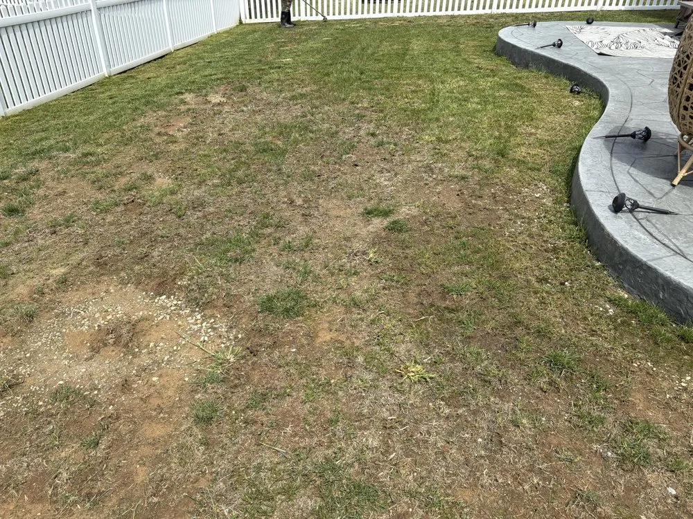 Affordable yard cleanup service in Fredericksburg, VA - Alberti Landscape