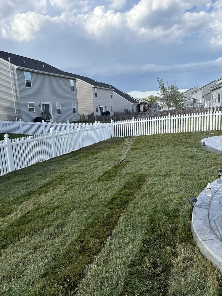 Professional yard maintenance experts serving Fredericksburg, VA - Alberti Landscape