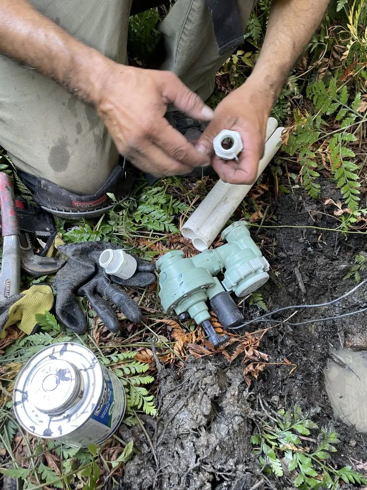 Trusted garden landscaping in Rancho Cordova, CA - Alberto & Jose’s Landscape Maintenance