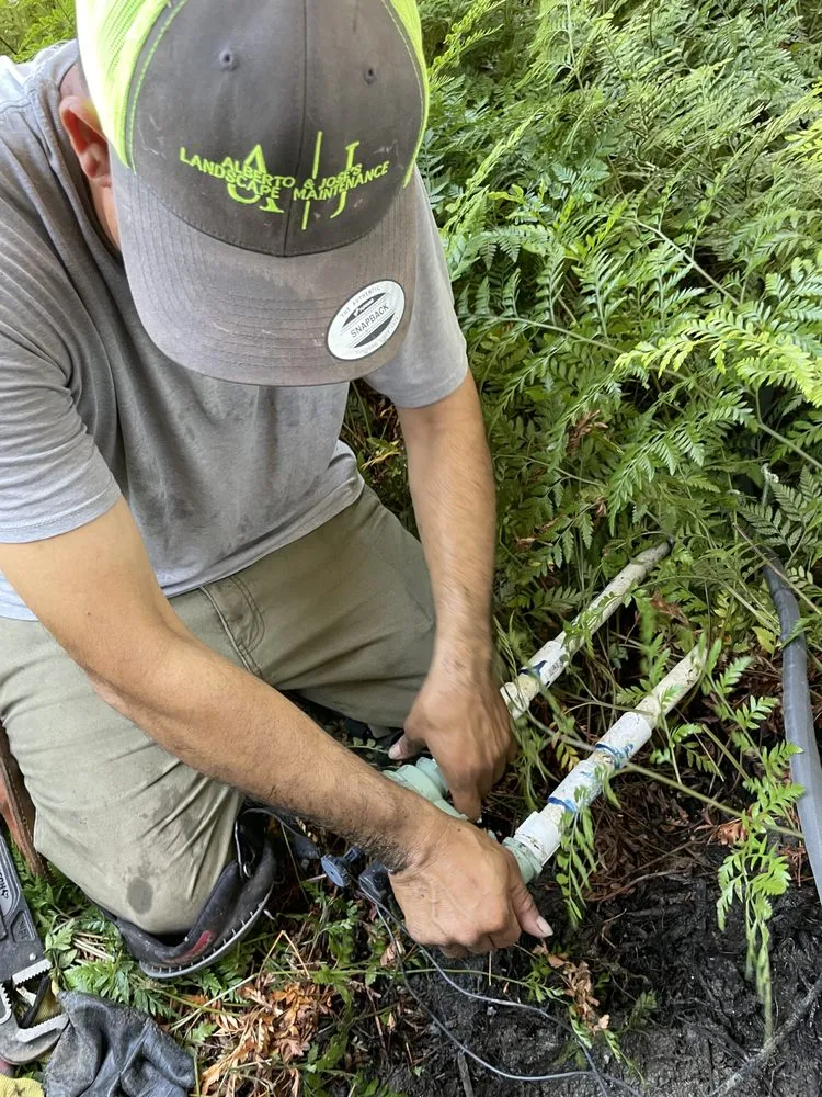 Top-rated residential landscaping in Rancho Cordova, CA - Alberto & Jose’s Landscape Maintenance