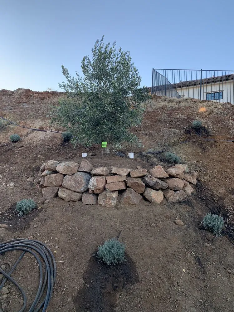 Local yard maintenance with custom design in Rancho Cordova, CA by Alberto & Jose’s Landscape Maintenance